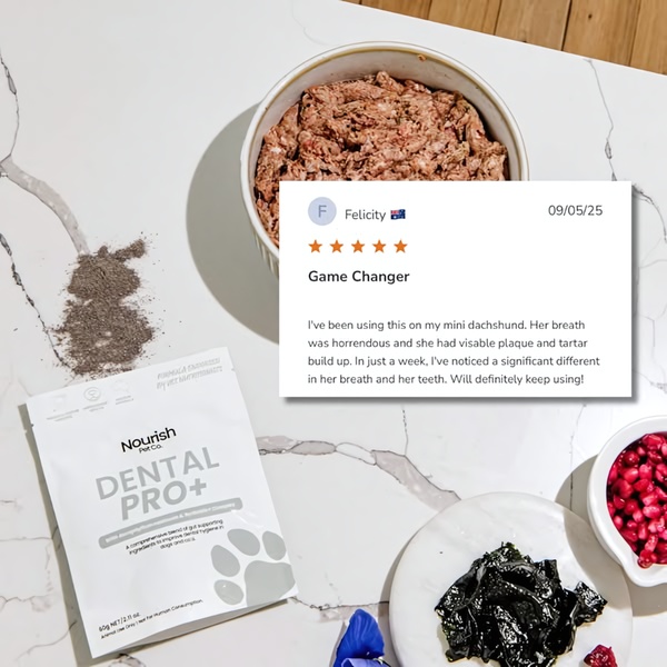 This creative showcases a dental supplement for pets using a direct, authentic five-star customer review overlaid on a product-in-use background.